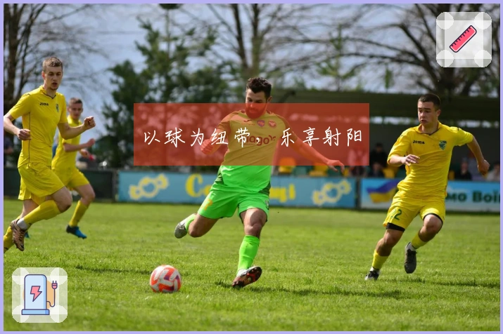 以球为纽带，乐享射阳