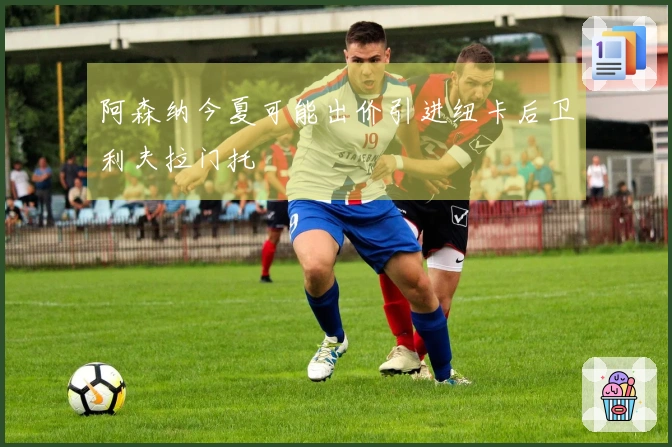 阿森纳今夏可能出价引进纽卡后卫利夫拉门托